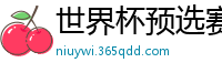 世界杯预选赛2024年赛程中国